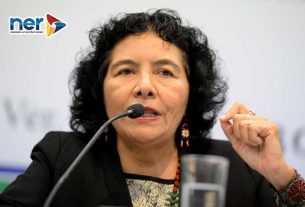 Lourdes Pacheco Ladrón De Guevara